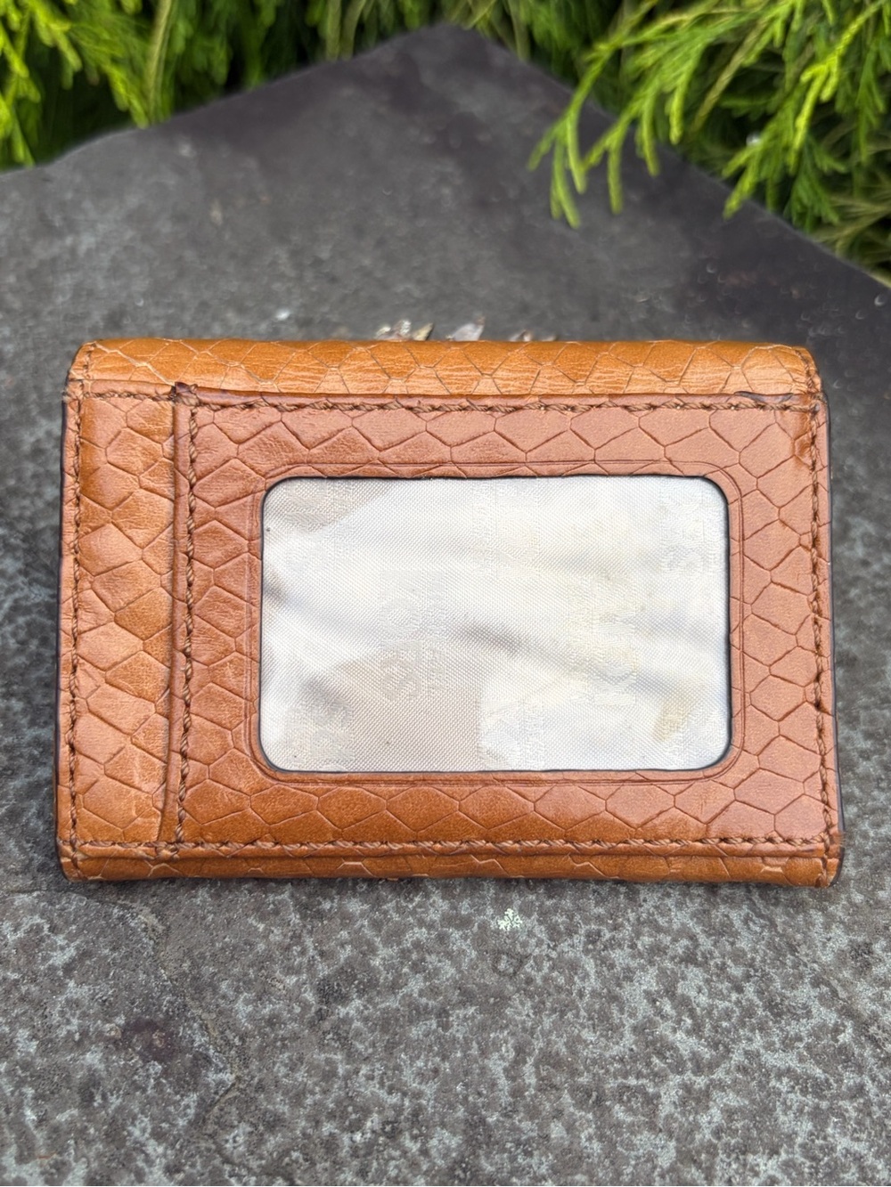 Michael Kors Brown Snake-Embossed Leather Card Case with Key Ring - Picture 14 of 15